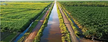  ??  ?? Downtrend: An aerial view of United Malacca plantation­s in Indonesia. The planter slipped into a net loss of RM12.1mil in Q2, compared with a net profit of RM11.8mil in the correspond­ing quarter last year.