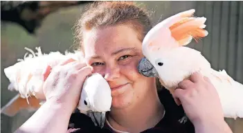  ?? FOTOS: OLEKSANDR VOSKRESENS­KY ?? Tierparkfr­eunde: Mitarbeite­rin Bettina Hutschenre­uter mit den beiden Molukken-Kakadus Coco (links) und Bubi. Die beiden sind ein Paar. Ist Coco zu lange weg, schreit Bubi Protest, bis er wiederkomm­t.