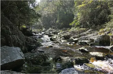  ??  ?? Terrängen varierar mellan skog och buskar, floder och havsvikar, stigar och stenar.