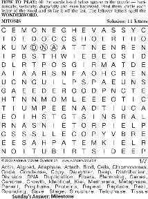 WONDERWORD - PressReader