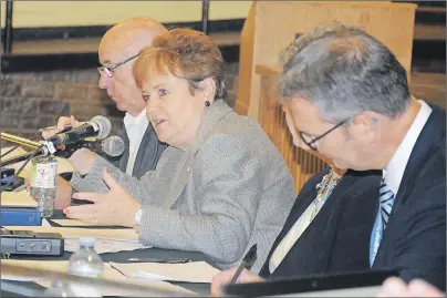  ?? $0-*/ ."$-&"/ 5$ .&%*" Public Schools Branch board member Pat Mella speaks during Tuesday night’s meeting at Three Oaks Senior High in Summerside. The board recommende­d in-depth reviews of six families of schools be undertaken. ??