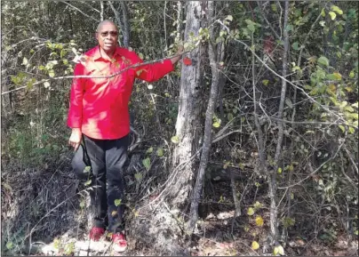  ?? Submitted photo ?? PROPERTY BOUNDARY: Harding Deon indicates marked property boundaries on his land. Forest landowners should have their property boundaries marked before implementi­ng forestry conservati­on practices or conducting other management activities such as harvesting timber.