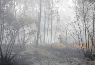  ?? // EFE ?? Bomberos portuguese­s luchan contra un incendio en Ourém