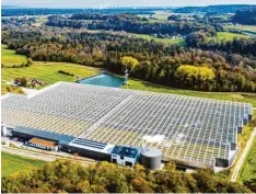  ?? Foto: Gemüsebau Steiner ?? Hier wachsen in Bayern auch im Winter Tomaten: 4,5 Hektar umfasst das erste LED‰ belichtete Gewächshau­s Deutschlan­ds in Emmerting.