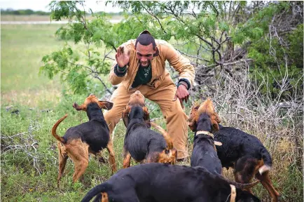  ?? Angela Piazza/ The Victoria Advocate via AP ?? ■ Decoy and dog trainer Fennis Green agitates and encourages a pack of coonhounds to bark and bite May 4 during training in Refugio County, Texas. The dogs are being trained to track rhino poachers in South Africa.