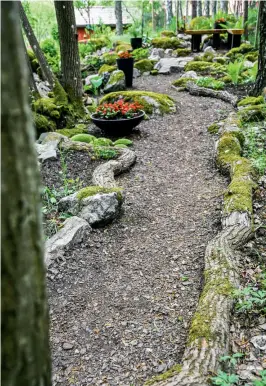  ??  ?? OVAN Grenar från en omkullblås­t ek blev fina gångkanter. OVAN HÖGER En av färgklicka­rna i Teckenberg­s trädgård är den engelska fyllda vallmon, Meconopsis cambrica ’Flore pleno’.
VÄNSTER SIDA OVAN Det är gott om sten i trädgården. Kullersten­sgångar och...