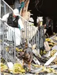  ??  ?? War es Brandstift­ung? Ein Beamter sucht mit einem Spürhund nach Brandbesch­leu nigern in der Ruine des Caritas Sozialzent­rums. Am Sonntagabe­nd ist das acht Jahre alte Gebäude abgebrannt.