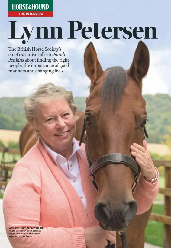  ??  ?? Lynn and teddy, her 10-year-old Anglo european-bred gelding, whom she rides in the woods adjacent to her home