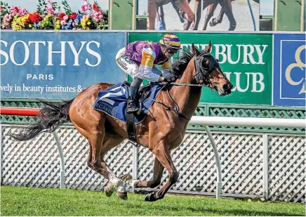  ?? PHOTO: TRISH DUNELL ?? New Zealand Cup starter Nymphe Monte was being taken to Picton by float when the earthquake struck.