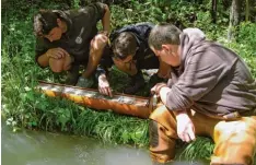  ?? Fotos: Fischereiv­erein Meitingen ?? Junge Leute vom Fischereiv­erein kontrollie­ren die Brutbox im Mädlelech: (von links) Peter Kinlinger, Jonas Reiter und Matthias Leblang.