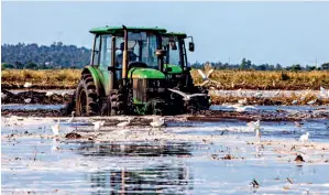  ?? ?? Wanbao Mozambique rice farm - China’s largest investment project in rice growing in Africa