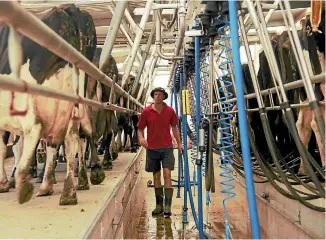  ?? PHOTO: KATE TAYLOR/STUFF ?? Andy Hunt likes taking his share of the milkings at their Ashley Clinton dairy farm.