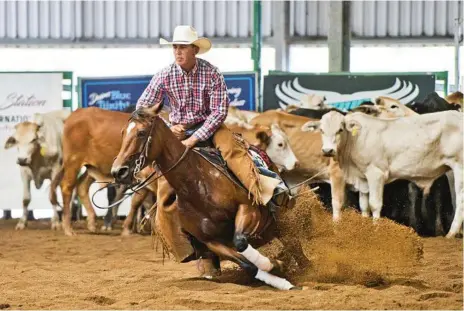  ?? Photo: Nev Madsen ?? CUT AND RUN: Phillip Smith and Erin Miss Metallic competing at the NCHA National Finals at Toowoomba Showground­s yesterday.