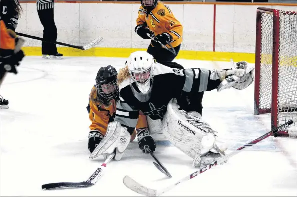  ?? JENNIFER VARDY LITTLE ?? Brie Kaizer, 15, was recently chosen to compete on the Canadian Bears team in Europe this summer.