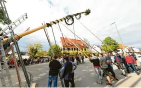  ?? ?? Das Maibaumste­llen ist kein leichtes Unterfange­n: Hier in Aufheim haben damals im Jahr 2017 40 Männer für 30 Minuten arbeiten müssen.