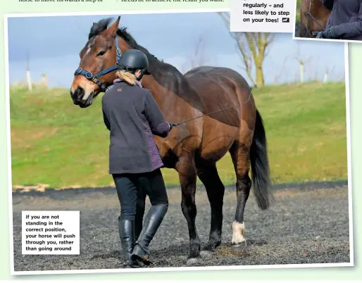  ??  ?? If you are not standing in the correct position, your horse will push through you, rather than going around