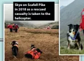  ?? ?? Skye on Scafell Pike in 2018 as a rescued casualty is taken to the helicopter.