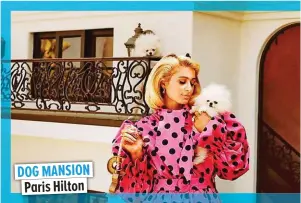  ?? ?? DOG MANSION Paris Hilton