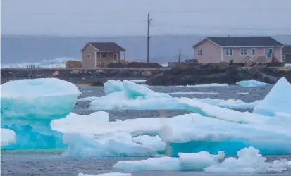  ??  ?? Record-setting pack ice prevented passage through the Strait of Belle Isle, a pinch-point at the top of the island’s Great Northern Peninsula.