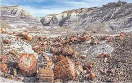  ?? ?? LEFT
Part of the Petrified Forest National Park in Arizona.