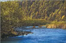  ?? PENG YUAN / XINHUA ?? From left: The Arxan National Forest Park in Arxan, Hinggan League, North China’s Inner Mongolia autonomous region, in September. in 2020. A view of the Shenjunwan tourist resort in Ulanhot city, Inner Mongolia, in July.