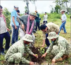  ??  ?? Officials and community members planted 40,000 new trees on 56ha in in Stung Thmey.