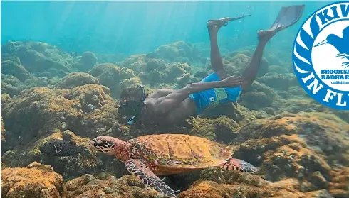  ?? PHOTOS: BROOK SABIN ?? Guesthouse owner Abdullah with a friendly turtle just off the beach.