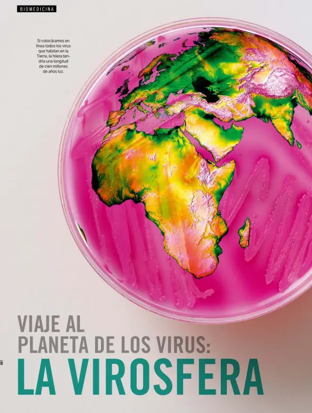  ??  ?? Si colocáramo­s en línea todos los virus que habitan en la Tierra, la hilera tendría una longitud de cien millones de años luz.