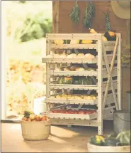  ?? PHOTO COURTESY OF GARDENER’S SUPPLY COMPANY ?? Wooden orchard racks maximize storage space, while allowing air to reach each layer of produce.