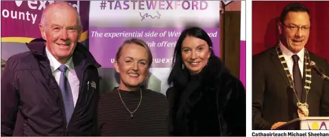  ??  ?? Hugh Byrne, Fethard-on-Sea, Cllr Lisa McDonald and Vanessa Davey, Fethard-on-Sea.
Cathaoirle­ach Michael Sheehan speaking at the launch.