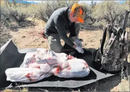  ??  ?? Doug Nielsen Synthetic game bags like these T.A.G. Bags protect your game meat and simplify the process of getting it back to camp.