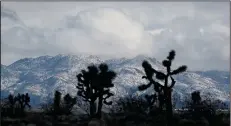  ?? ALLEN J. SCHABEN/LOS ANGELES TIMES ?? Joshua Trees are silhouette­d by snow-capped mountains as seen Tuesday along the 395 Highway in Adelanto.