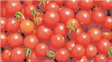  ?? FOTO: IMAGO ?? Schüssel mit roten Cherry-Tomaten: Wenn Bauern in Italien weniger Tomaten anbauen, hat das Auswirkung­en auf die Versorgung in Deutschlan­d.