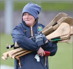  ??  ?? Breda Walsh is left holding the hurls.