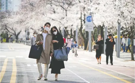  ?? KIM HONG-JI/REUTERS ?? A couple strolls along a street lined with blossoming cherry trees in Seoul, South Korea, in an unusually warm spring. The street was closed to prevent the spread of the deadly coronaviru­s.