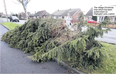  ??  ?? The village Christmas tree which has been pulled down on Highgate Lane, Lepton