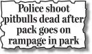 ??  ?? From yesterday’s Mail Police shoot pitbulls dead after pack goes on rampage in park