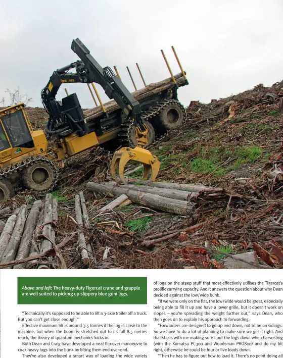  ??  ?? Above and left: The heavy-duty Tigercat crane and grapple are well suited to picking up slippery blue gum logs.