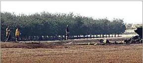  ?? ?? First responders survey the scene of a fatal crop-dusting plane crash late Wednesday morning near Shafter. Local and federal authoritie­s said the pilot died in the crash.