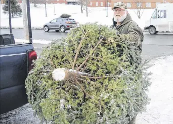 ?? FRAM DINSHAW/ TRURO NEWS ?? Christmas tree seller Adrian Samson has seen his stock ravaged by frost, but still prides himself on selling people a quality product from the Treeland Christmas Tree Farm lot on Willow Street.