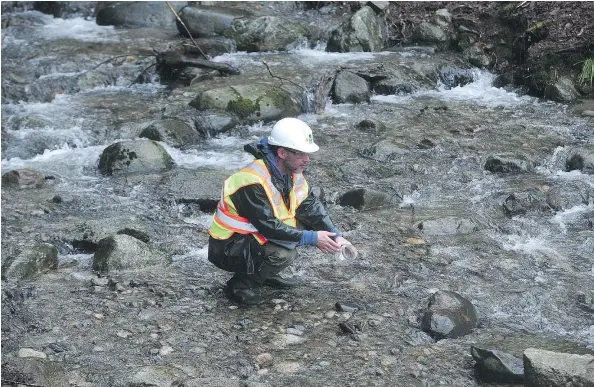  ?? PHOTOS: NICK PROCAYLO/PNG ?? Biologist Mike Pearson said the big issues affecting urban streams are water quality and water quantity. In Silver Creek, where he is standing, water quality has been impacted by numerous incidents, including a January 2014 spill of metallurgi­cal coal...