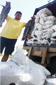  ?? JOY TORREJOS ?? Provincial Anti-illegal Fishing Task Force chief Loy Madrigal holds up shark fins seized from a container van intercepte­d in Lapu-Lapu City yesterday.