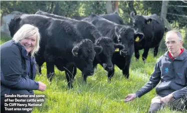  ??  ?? Sandra Hunter and some of her Dexter cattle with Dr Cliff Henry, National Trust area ranger