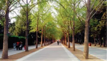  ??  ?? Beijing's parks can provide an opportunit­y to get away from the city's traffic and noise.