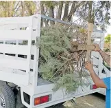  ?? VIRIDIANA FERNÁNDEZ ?? Algunos fueron tirados a la vía pública