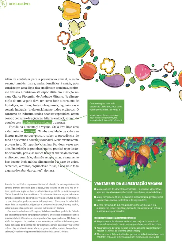  ??  ?? Os nutrientes para se ter maior cuidado são: cálcio, ferro, zinco, cromo, vitamina D, vitamina B12 e ômega 3.
Los nutrientes con los que debe tenerse mayor cuidado son: calcio, fierro, zinc, cromo, vitamina D, vitamina B12 y Omega 3.