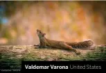  ??  ?? Valdemar Varona United States