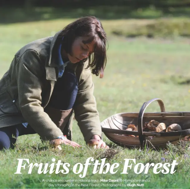  ??  ?? Kate Blair, daughter of The Pig Hotel’s food gatherer Garry, collecting cep mushrooms