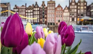  ?? ?? The Dutch city is also limiting the number of overnight stays by tourists.