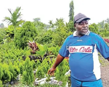  ?? Pictures: NJODZEKA DANHATU ?? SEED MONEY: Akah George Kum has built up a thriving business in his garden shop in Buea, Cameroon.